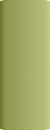 100716_qing_dynasty_collectibles_reproductions_lance_armstrong_memorabilia001013.gif
